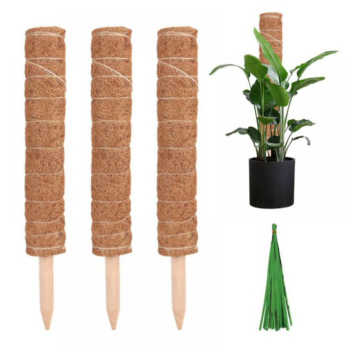 Ebern Designs 3 Pcs Plant Stakes Moss Sticks For Monstera Indoor